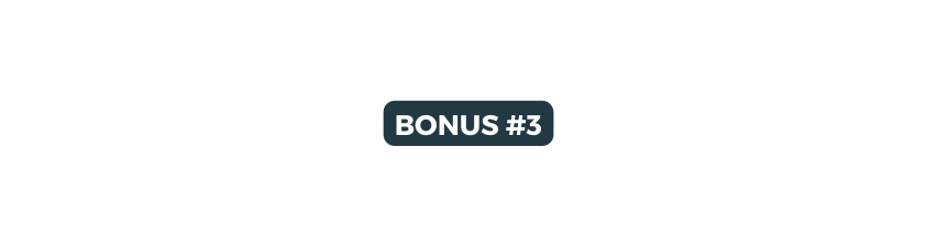 BONUS 3