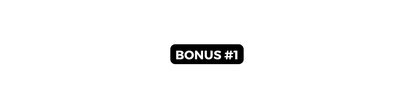 BONUS 1
